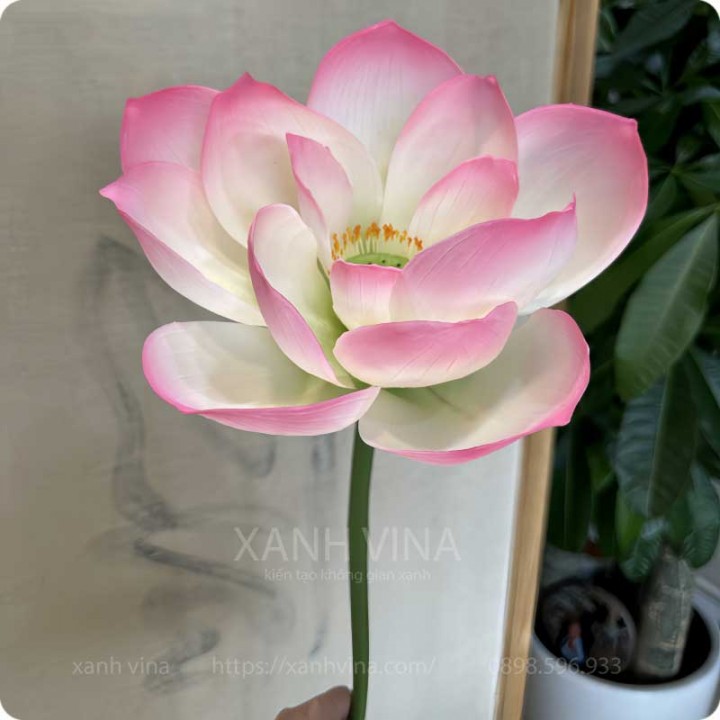Cành hoa sen PU giả cao cấp